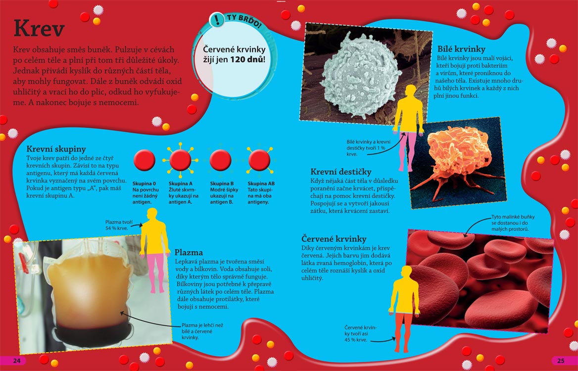 Objevuj! Lidské tělo