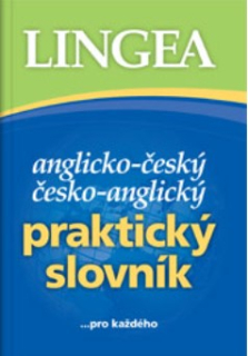 Praktický anglický slovník k maturitě