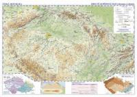 Česko - školní obecně zeměpisná mapa