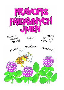 Pravopis přídavných jmen - procvičujeme pravopis